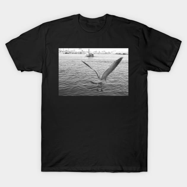 Takeoff T-Shirt by Ckauzmann